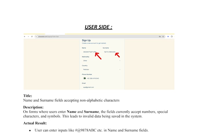 do professional software QA manual testing and bug reporting